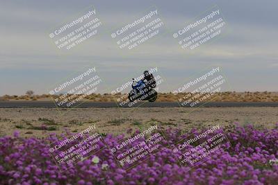 media/Jan-14-2023-SoCal Trackdays (Sat) [[497694156f]]/Turn 14 Exit Bloomig (145pm)/